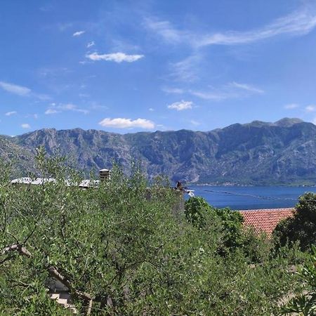 Holiday House In The Kotor Bay Экстерьер фото